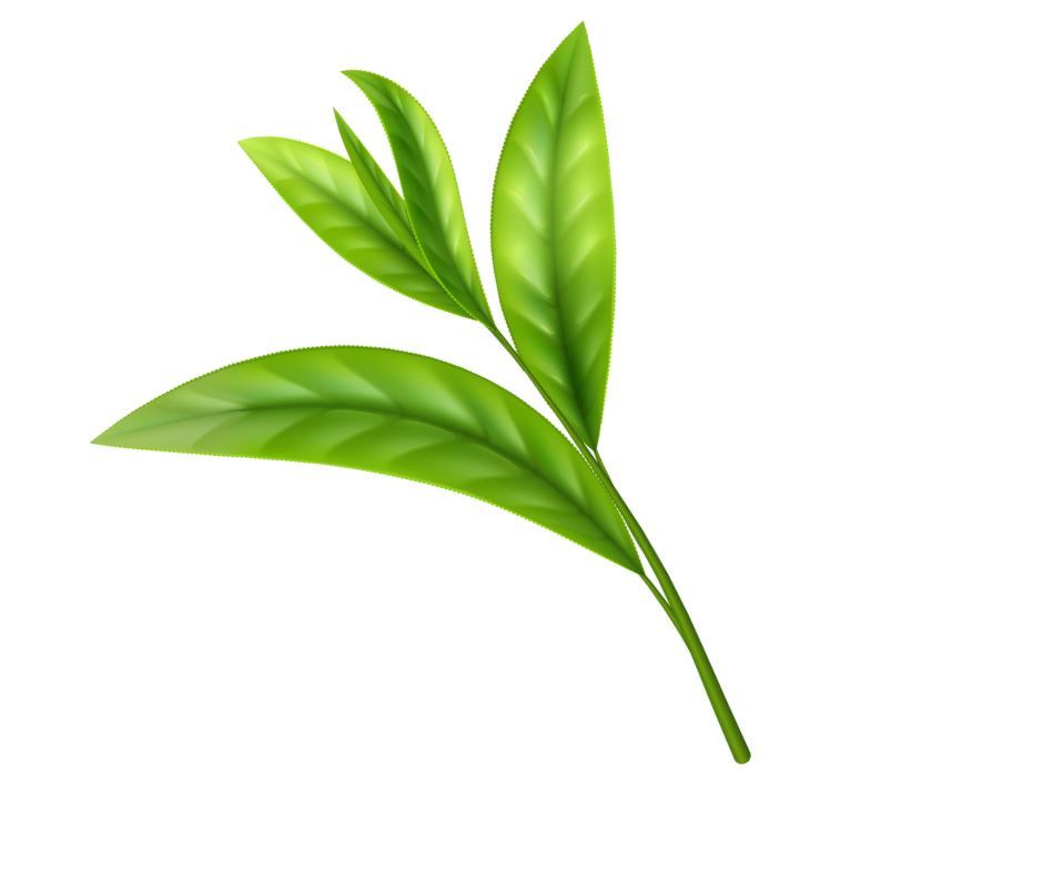 Tea Tree