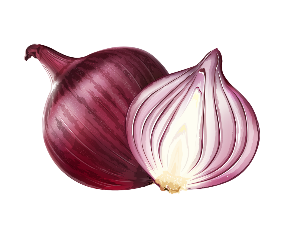 Onion extract