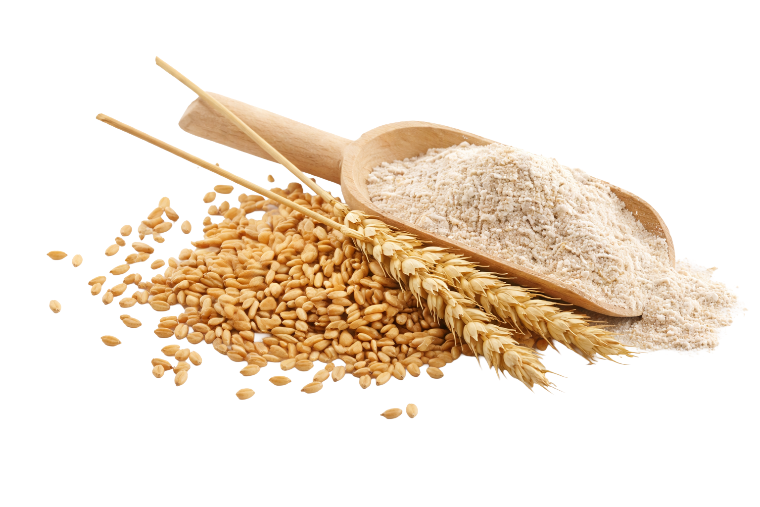 Hydrolyzed wheat Protein